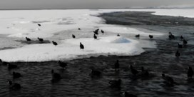 Zeldzaam: grootste zoutwatermeer in Turkije bevroren  