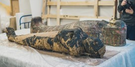 Virtuele autopsie keert mummie binnenstebuiten  