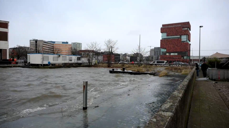 Storm Corrie trekt over het land: gesneuvelde bomen, Scheldekaaien overspoeld en hoge golven in Blankenberge