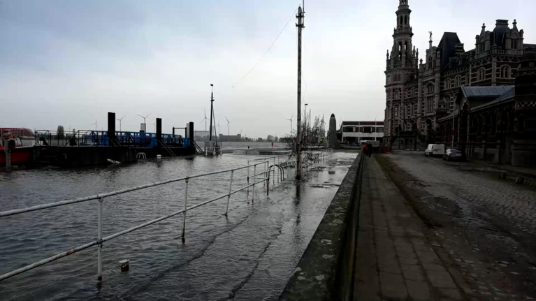 Storm Corrie trekt over het land: gesneuvelde bomen, Scheldekaaien overspoeld en hoge golven in Blankenberge