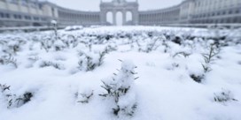 Exact tien jaar geleden was de koudste dag van de eeuw: ‘Zelfs voor Belgische winter uitzonderlijk’   
