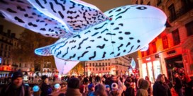 Sneeuwuilen vliegen door Brussel tijdens lichtfestival   