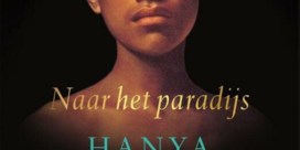 Nieuwe roman van bestsellerauteur Hanya Yanagihara is te steriel om te bekoren