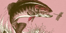 Hoe vissen kunnen eten zonder gespierde tong  