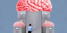 Ons brein lijkt alweer iets meer op een computer