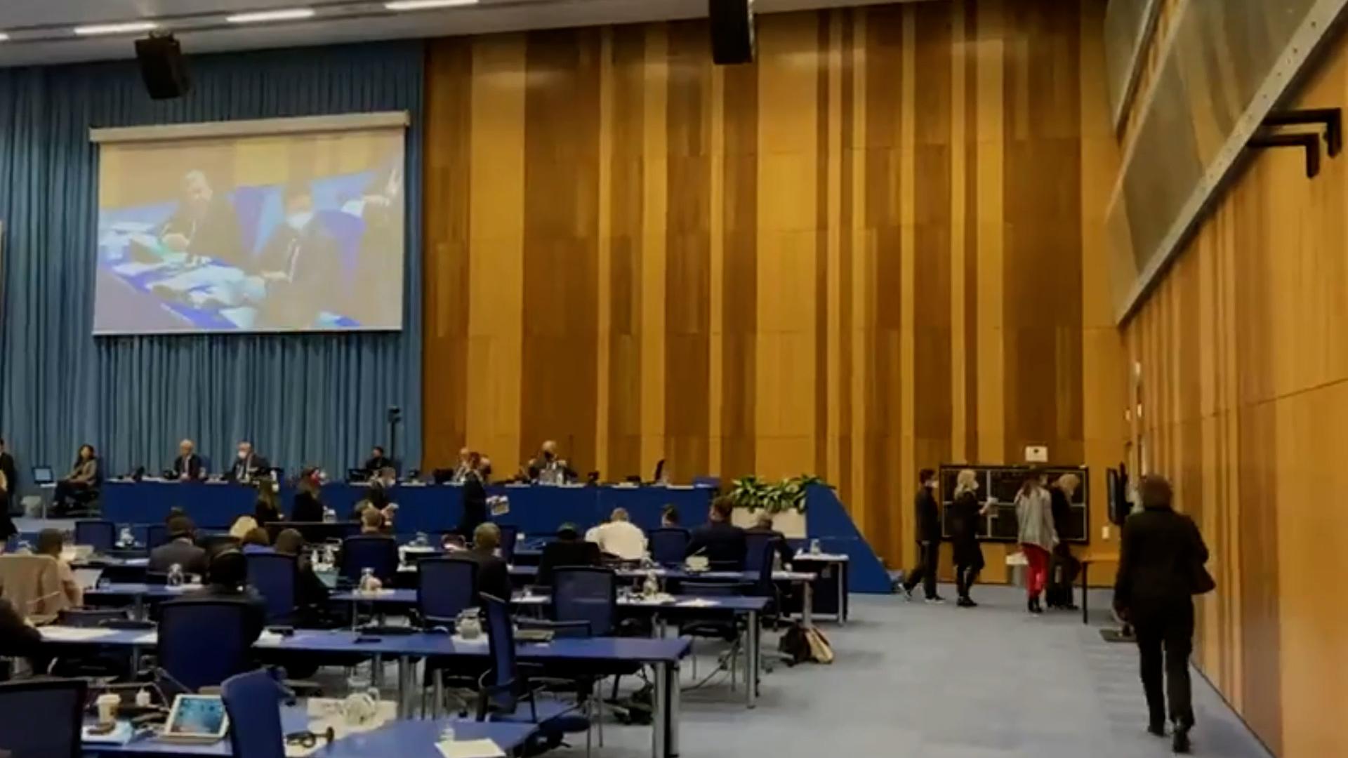 Делегация Евросоюза покидает заседание МАГАТЭ после «неприемлемых заявлений России»