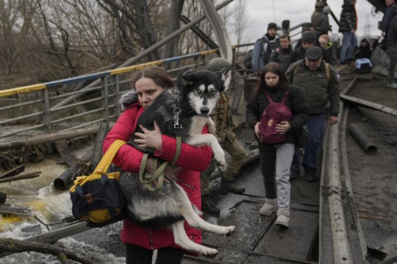 Oekraïense huisdieren gaan mee op de vlucht: ‘Je laat geen gezinsleden achter’