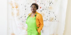 Pélagie Gbaguidi, een hedendaagse verhalenverteller