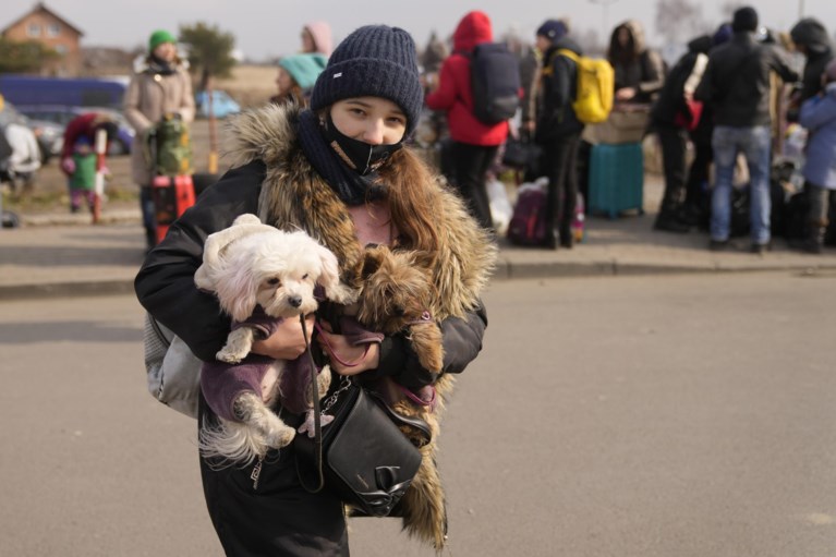Oekraïense huisdieren gaan mee op de vlucht: ‘Je laat geen gezinsleden achter’