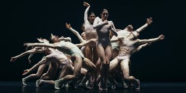 'Palmos / Half life': bezwerende ballettrance in de opera