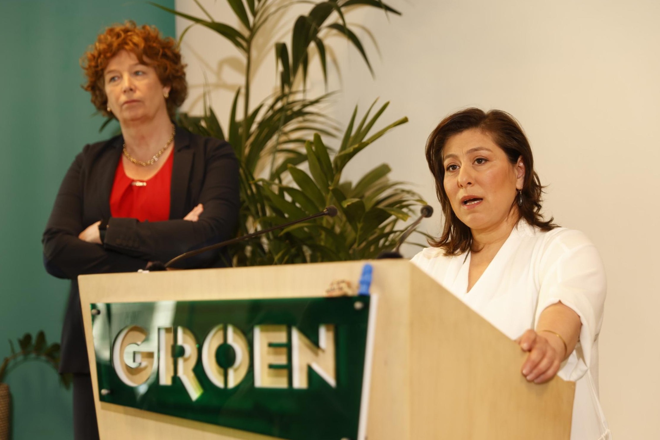 Geen kernuitstap, geen voorzitter: Groen in nood?