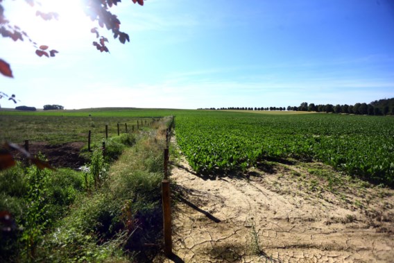 Helft meetplaatsen in Vlaanderen kampt met (zeer) lage grondwaterstand