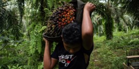 ‘Voedselnationalisme’ treft nu ook palmolie