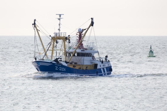 Belgische vissers halen 65 ton vuilnis uit Noordzee: ‘Maatschappij moet beseffen dat afval dumpen not done is’