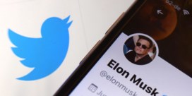 Elon Musk moet het weten: hoeveel bots heeft Twitter?