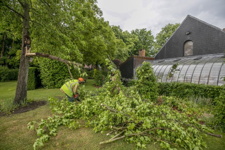 Van omgewaaide kerkhofmuur tot ondergelopen straten: onweer veroorzaakt heel wat schade in provincie Antwerpen