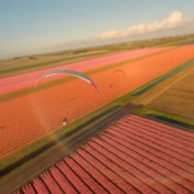 Prachtig: Belgische paraglider zweeft over bloeiende tulpenvelden