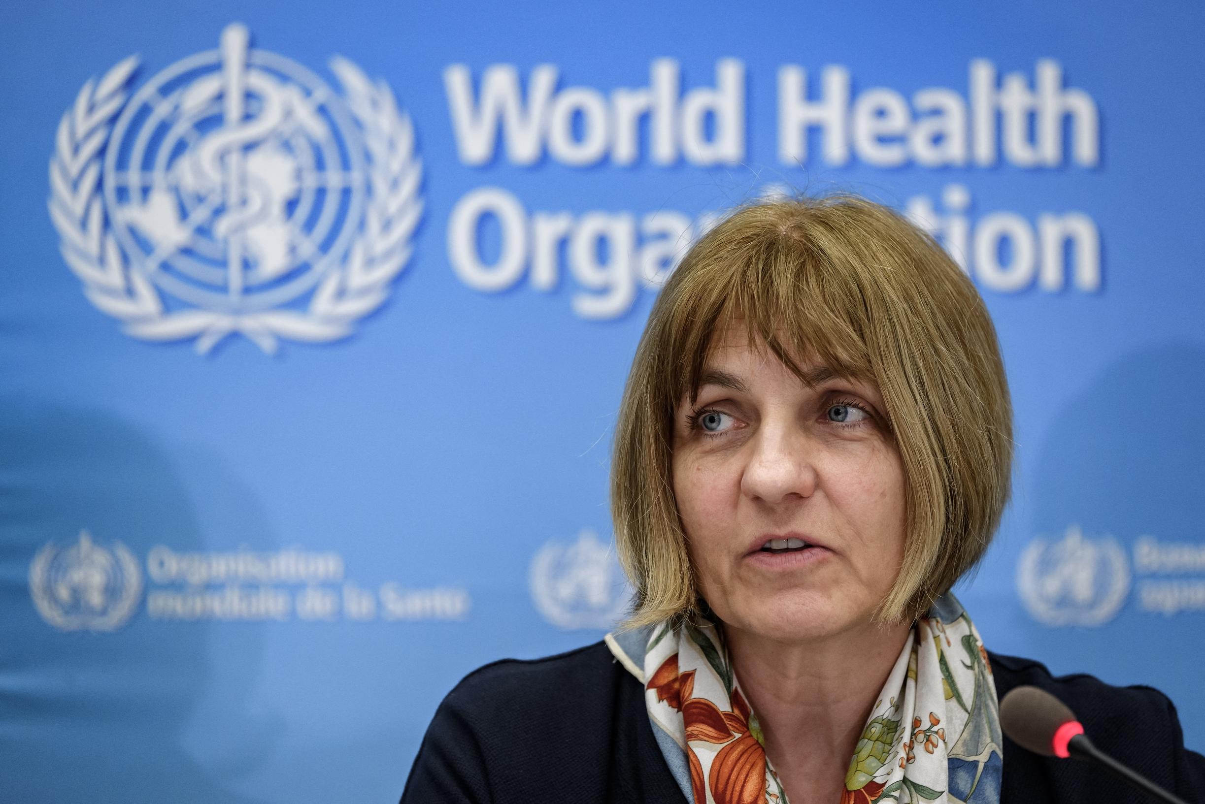 Pandemic chief at WHO not worried about monkey pox, yet ‘this could just be the tip of the iceberg’