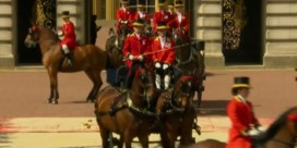 Paard weigert verder te lopen tijdens optocht voor de Queen