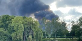 Brand bij tuinbouwbedrijf in Wetteren onder controle