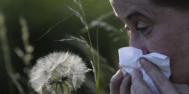 Er hingen nog nooit zo veel pollen in de lucht