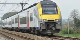 Ooievaar zorgde voor geblokkeerde treinen tussen Leuven en Luik