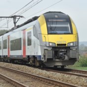 Ooievaar zorgde voor geblokkeerde treinen tussen Leuven en Luik