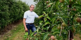 Biolandbouw groeit het snelst in de provincie Limburg