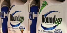 Monsanto ook in beroep veroordeeld tot betalen schadevergoeding aan kankerpatiënt die Roundup gebruikte