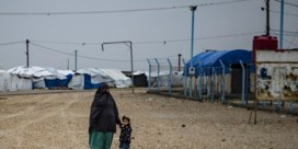 Zes vrouwen zijn teruggehaald uit Syrië, nu nog de rest
