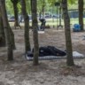 Ook  in het Maximiliaanpark is het voor asielzoekers niet veilig. 
