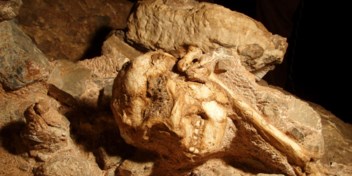 Aapmensenkerkhof miljoen jaar ouder dan gedacht