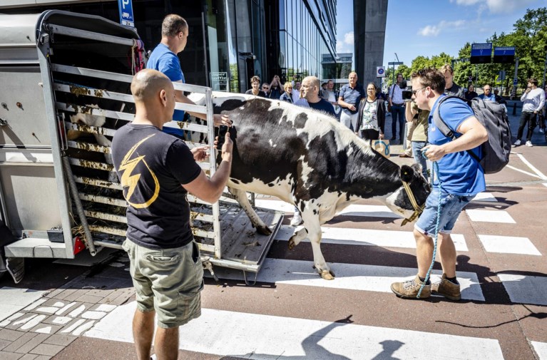 Boerenprotest in Nederland escaleert: boeren zoeken politici thuis op