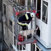 Oekraïners redden hond uit kapotgeschoten appartementsgebouw