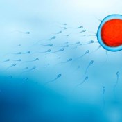Gynaecoloog uit Torhout insemineerde wellicht met eigen sperma