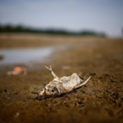 Italië kondigt noodtoestand af voor droogte in Povlakte