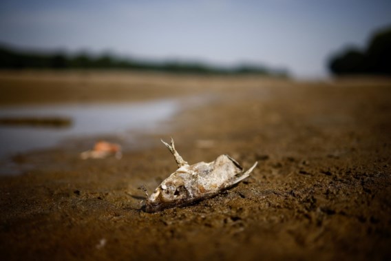 Italië kondigt noodtoestand af voor droogte in Povlakte 