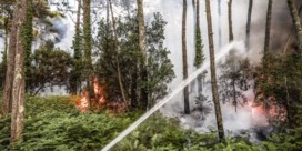 Verschillende bosbranden teisteren Europa en Marokko