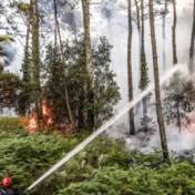 Verschillende bosbranden teisteren Europa en Marokko