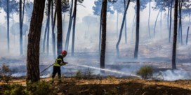 Portugal getroffen door verschillende bosbranden