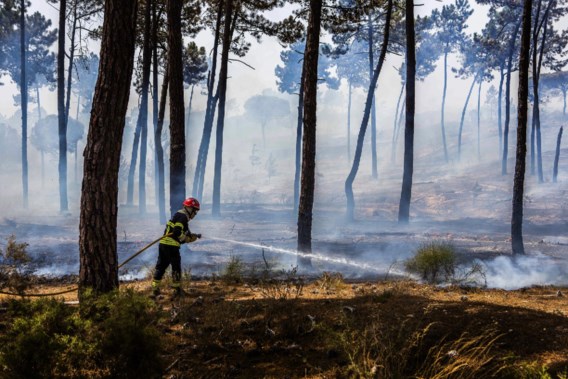 Portugal getroffen door verschillende bosbranden