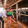 Cd&amp;v-voorzitter Sammy Mahdi bracht dinsdag aan een melkveebedrijf van een jonge boer in Dilsen-Stokkem op uitnodiging van Groene Kring. 
