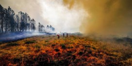 Vijftig mensen gearresteerd voor branden in Portugal