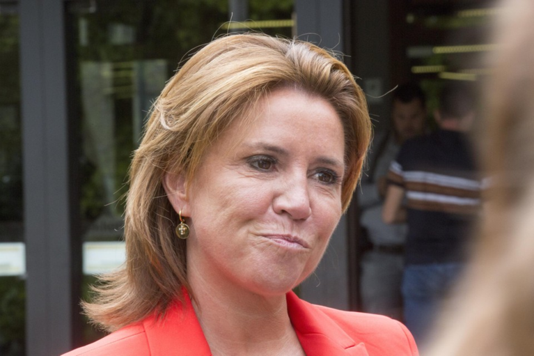 این بلژیکی ها از پادشاه فیلیپ یک عنوان یا نشان نجیب دریافت می کنند