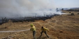 Bosbrand in Spanje veroorzaakt door Nederlands herbebossingsbedrijf