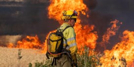 Aanhoudende hitte leidt tot hevige natuurbranden in Griekenland, Spanje en Slovenië