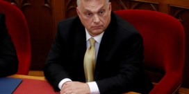 Vertrouweling keert Orban de rug toe na ‘nazistische opmerkingen’