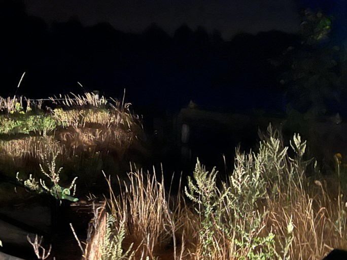 آتش نشانی باید دختر پیشاهنگ را بعد از بازی شبانه از کانال عمیق نجات دهد 