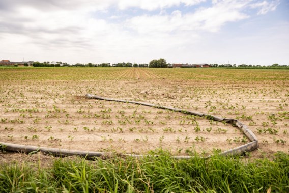 Droogste zomer in jaren, maar waar zijn de extra maatregelen tegen het watertekort?