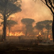 Hitteblog | Bosbranden blijven Frankrijk teisteren: jongste brand verteerde minstens 700 hectare in zuiden